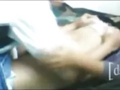 毛茸茸的猫的黑发女郎