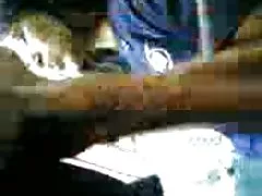 业余爱好者有毛