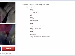 深在某些多米尼加猫