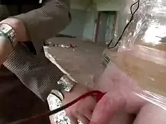 舔毛的妻子