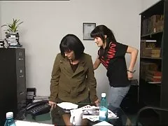 脂肪多毛猫组合