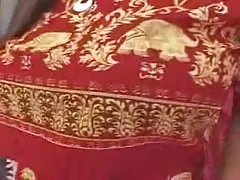 欧洲的喜鹊，有毛的妻子