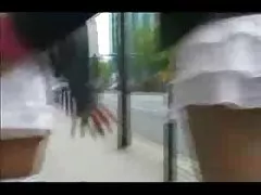 真正业余的母亲和她毛茸茸的猫