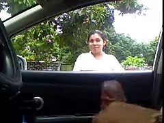 毛多肉亚洲猫得到性交