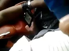 有毛的独奏亚洲