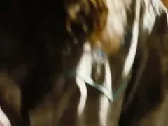 Ksandra他妈的在自然