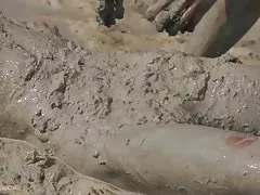坦率地亚的尼龙的腿