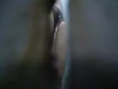 姜饼干n15