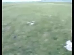 Keeani雷需要深入的双拉伸