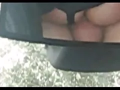 他妈的我的猫咪，在游泳池