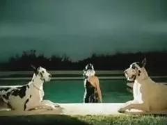 ...伟大的色情明星苏铃木在肛交
