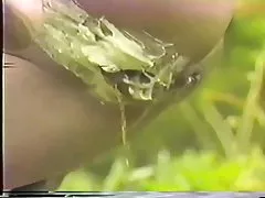 猫bukakke香Takarano