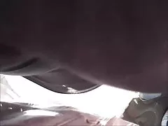 卡罗来纳州hy