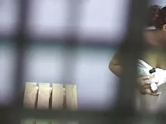 纯洁的心里伽子血清中1-通过packmans