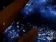 Lelu爱-摄像头：浴缸聊天室和脑卒中
