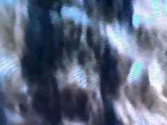 他妈的我的政府财政统计屁眼
