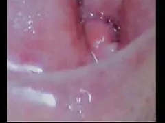 禁止(奶奶的71)