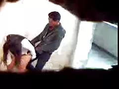 Dana karnevali 手指她直到她慢性应激抑郁的猫