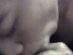性感的莫妮卡