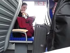 夫人有大山雀和多毛的杂种