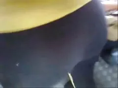 玩猫