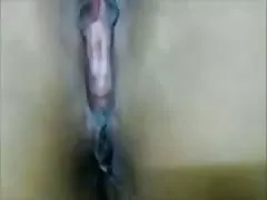 大奶和角质猫