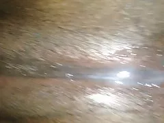 Hitachi魔杖上Anya是棕色的猫