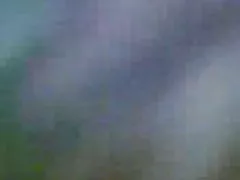 Max御北亚种族dp