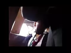 法国的小荡妇