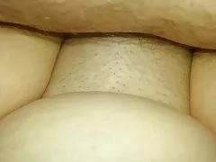 妻子软圆毛猫丘