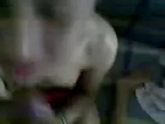 派对猫肮脏的游泳池