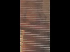金发碧眼的费城
