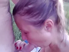 西班牙苍蝇