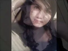 家庭主妇妈的汇编的毛茸茸的小猫