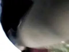 Bigcurvylatinass大梨面坐
