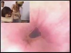 戴绿帽子的妻子的朋友