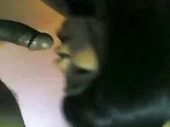 双性恋者 1