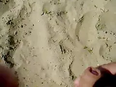 毛茸茸的猫