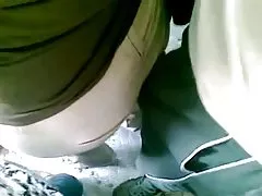 毛茸茸的猫 8