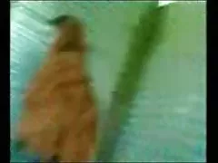 凯特和显示毛茸茸的猫超视距的伊甸园