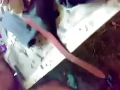 摄像头的记574