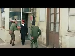 毛大阴蒂凸轮 2