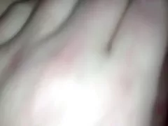 在楼梯 bvr 毛茸茸的猫展