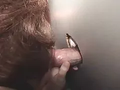 毛茸茸的猫 10