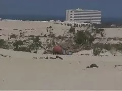 俄罗斯成熟 10