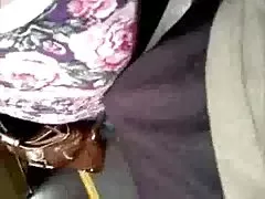 让我开你的野生与我的渔网