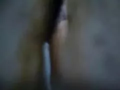 瓦加的世界。