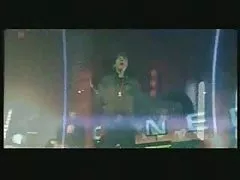 暨上毛茸茸的猫 compilation3