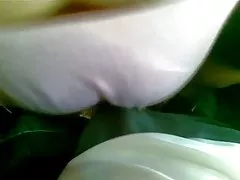 金发女郎，宝贝，上一个台球桌